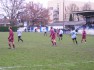 Bleuets A / Cteaux Bordelais